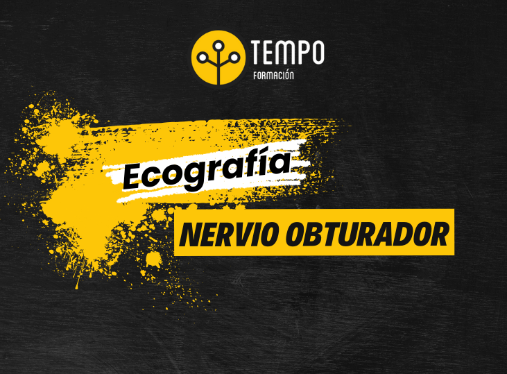 nervio-obturador-y-ecografia